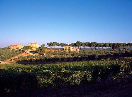 Villa Il Tesoro 马萨马里蒂马 外观 照片